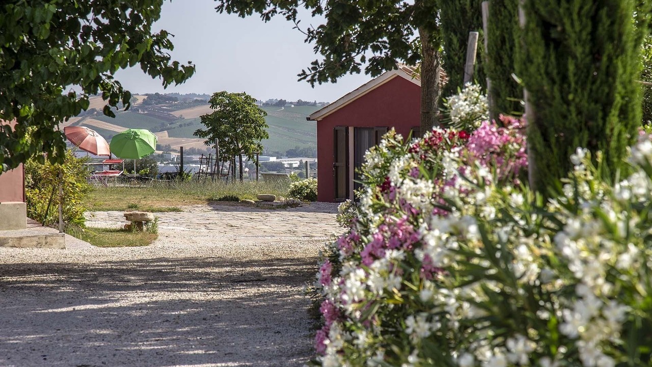 Photo of Outdoor in Serra de' Conti
