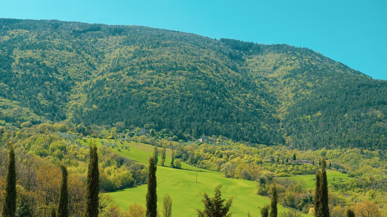 Photo of Others in Assisi