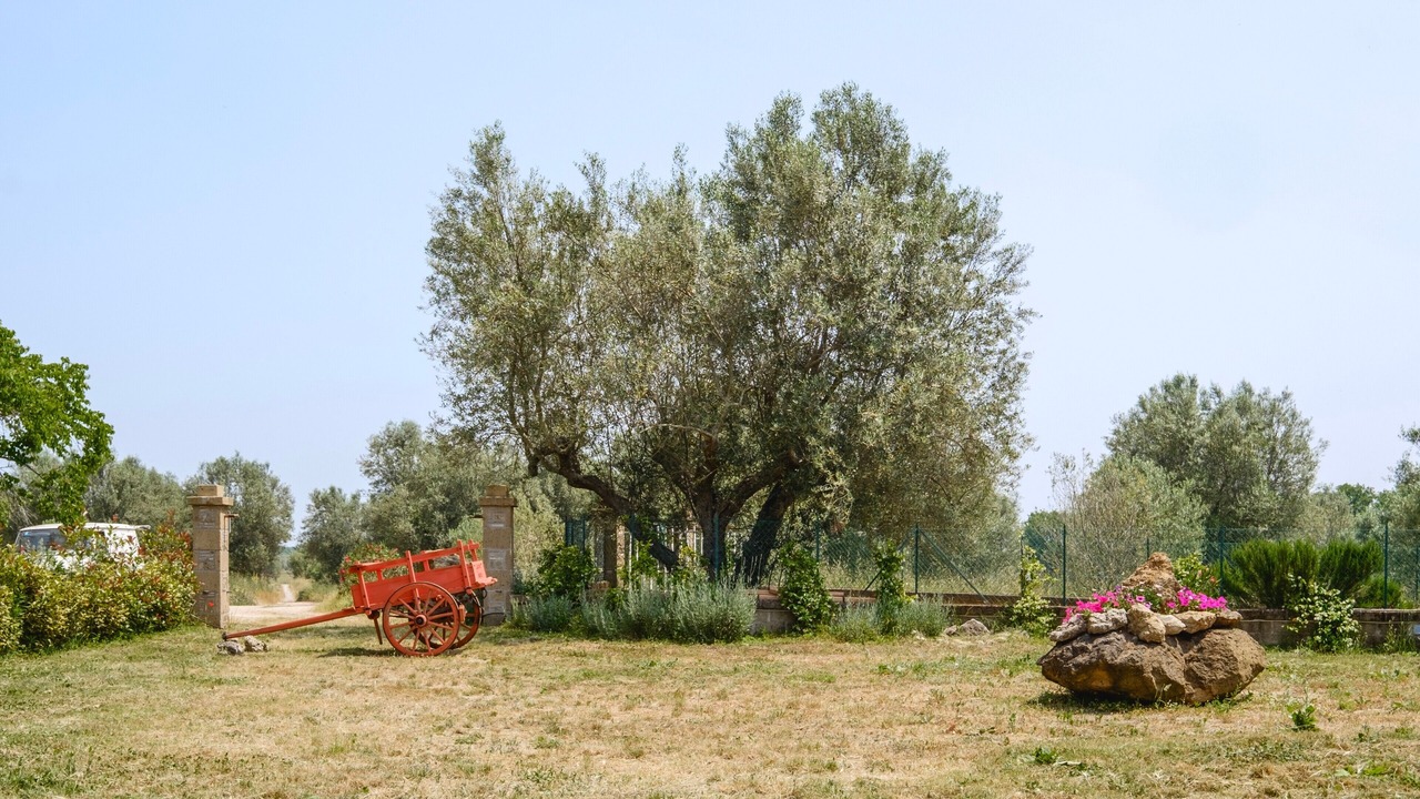Photo of Others in Pitigliano