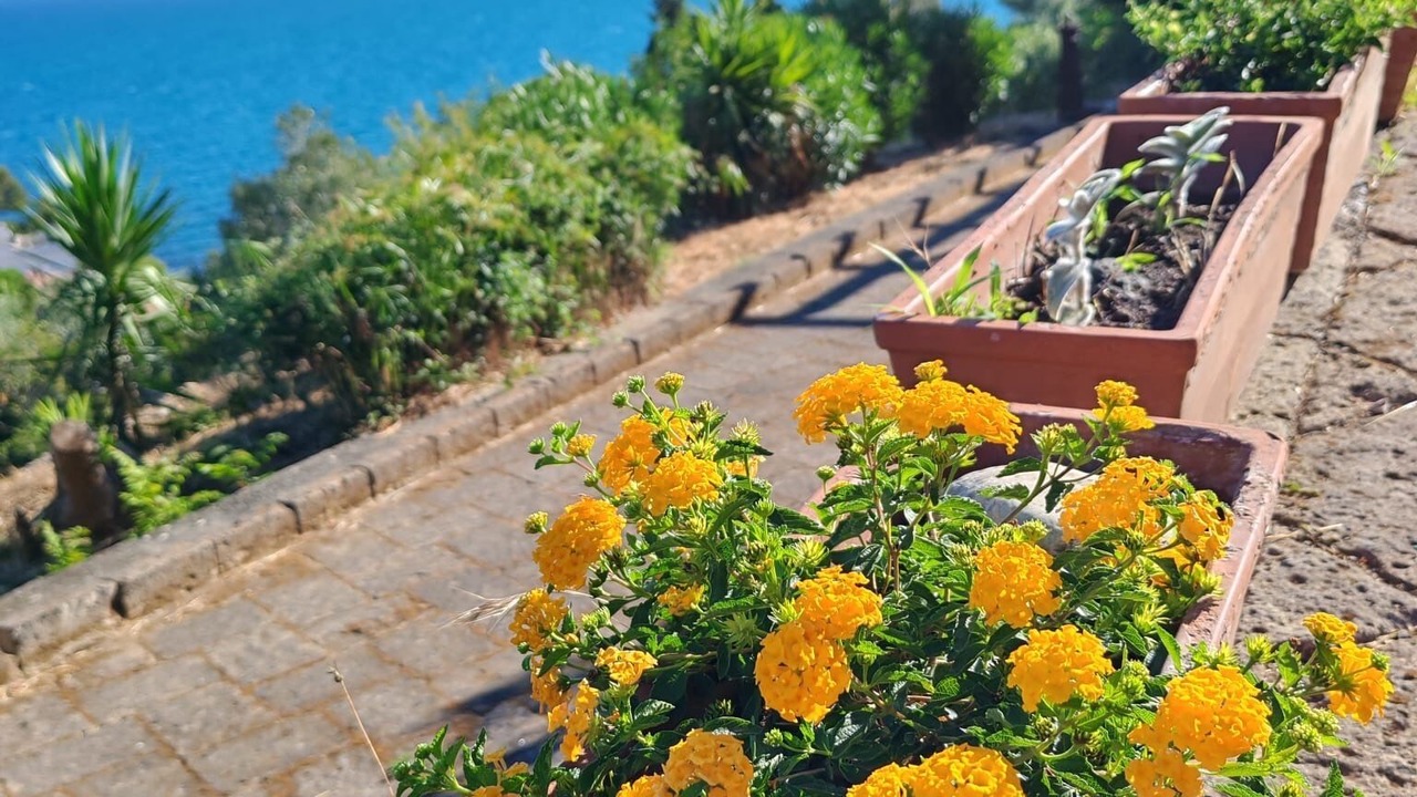 Photo of Outdoor in Porto Santo Stefano