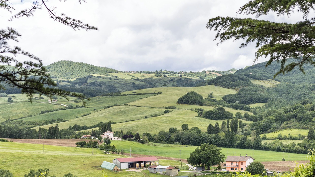 Photo of Outdoor in Monteluiano