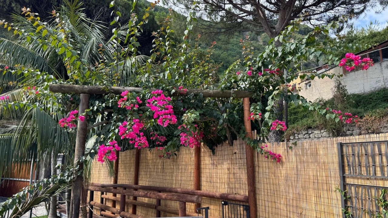 Photo of Outdoor in Casamicciola Terme