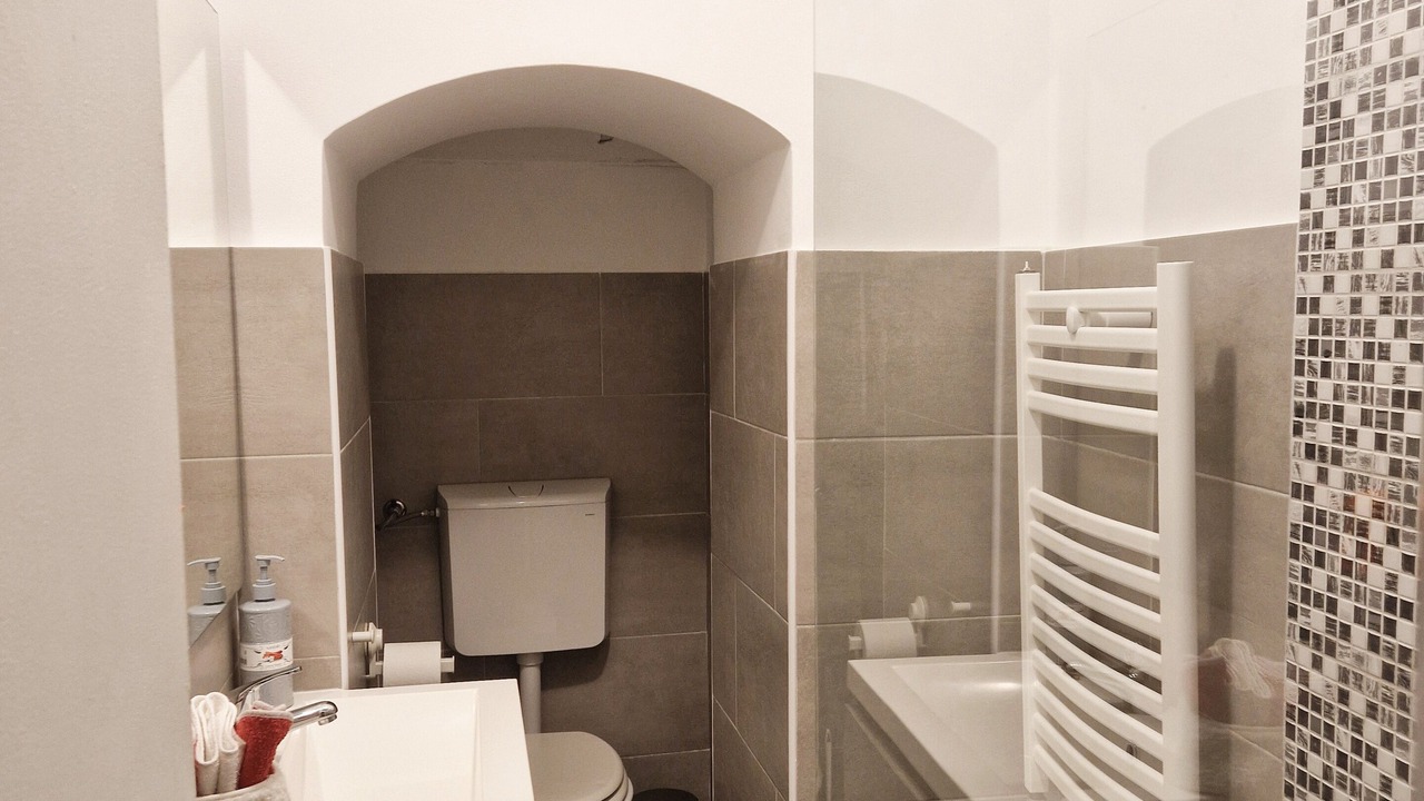Photo of Bathroom in Sori