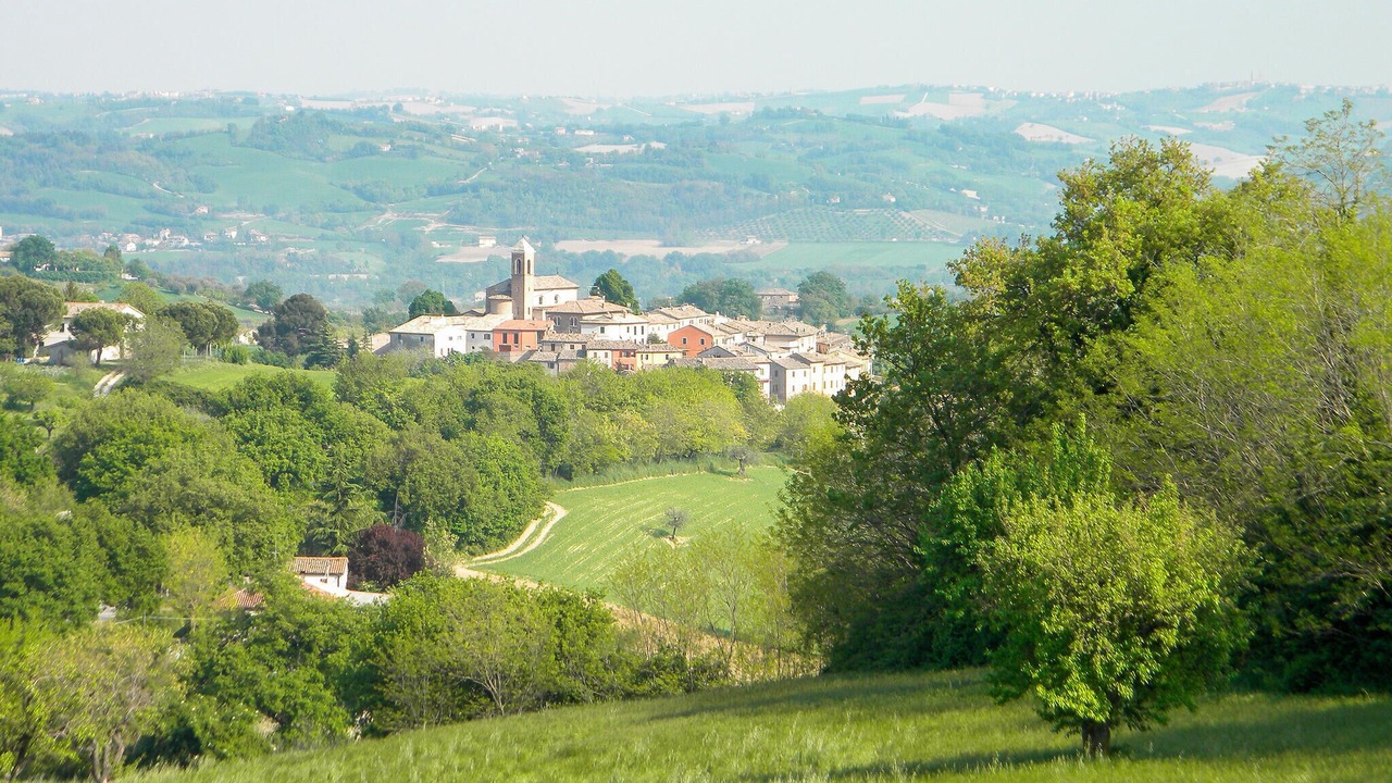 Photo of Others in Serrungarina