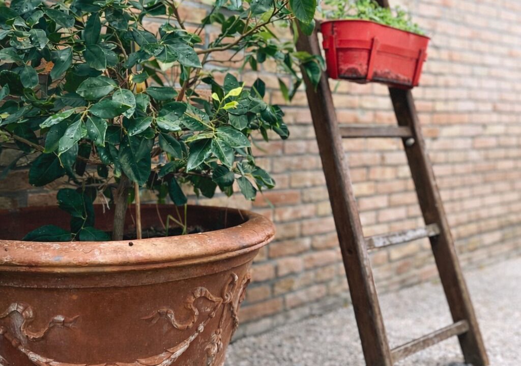 Photo of Outdoor in Jesi