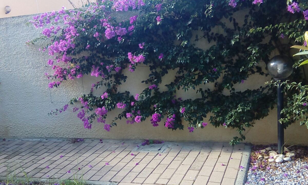 Photo of Outdoor in Vibo Marina
