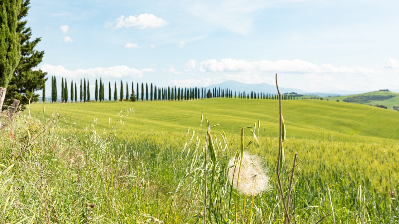 Photo of Others in San Giovanni d'Asso