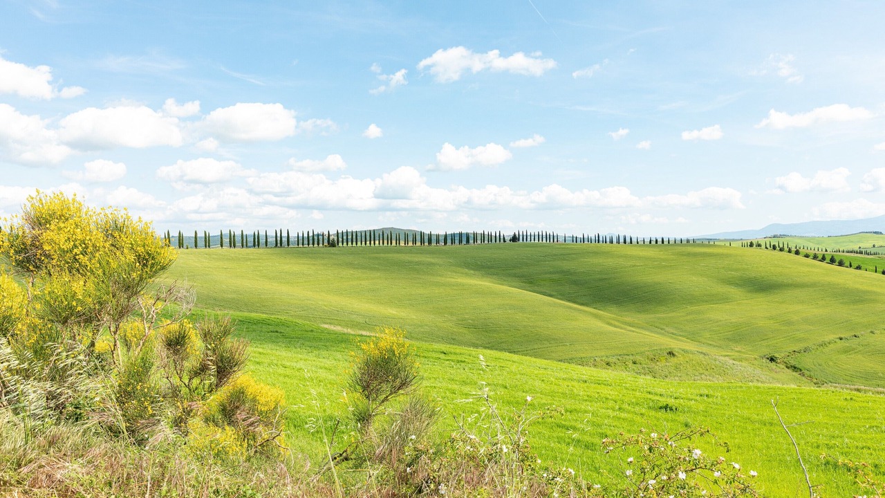 Photo of Others in San Giovanni d'Asso