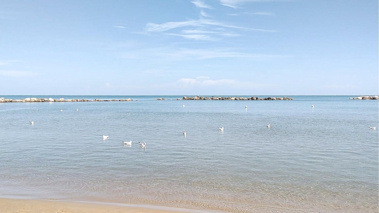 Photo of Others in Pesaro