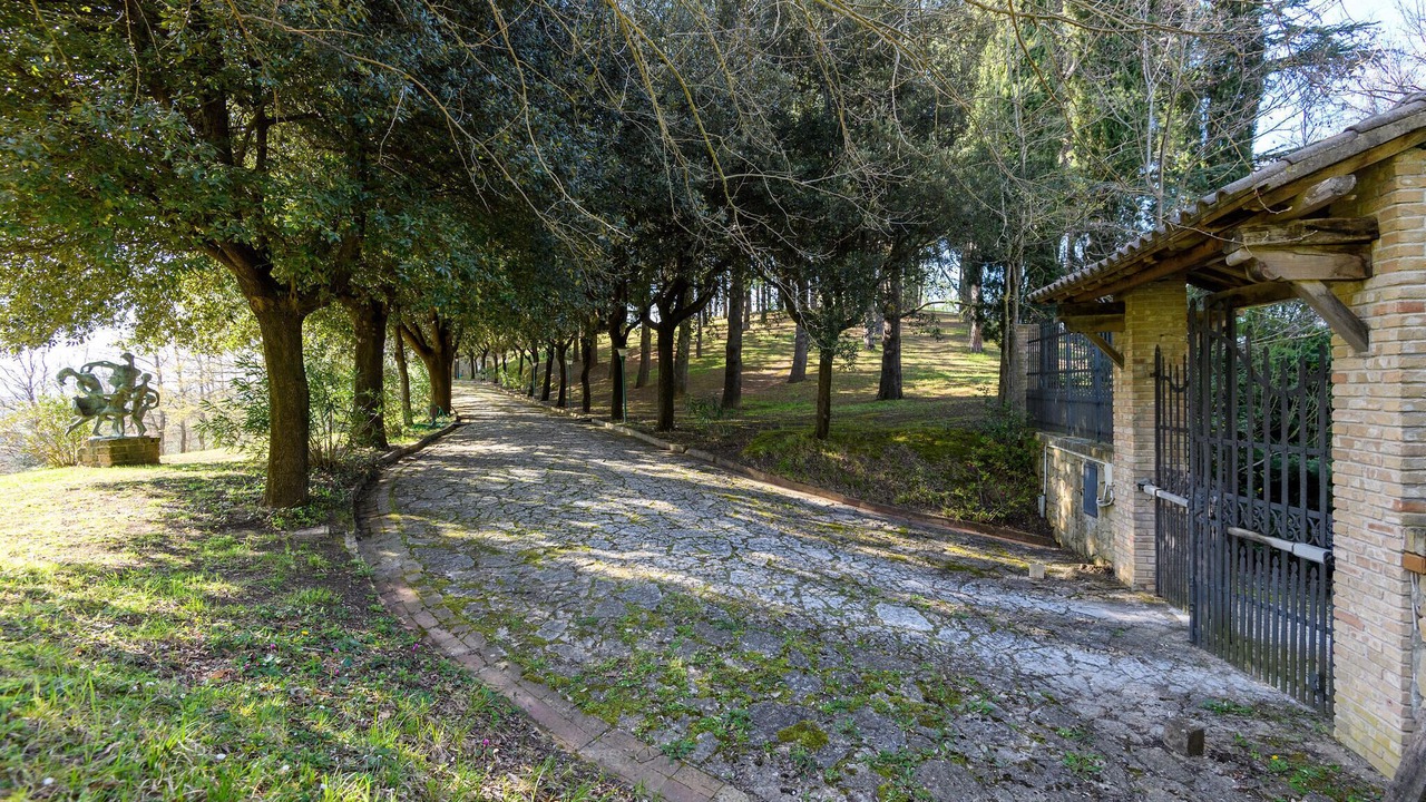 Photo of Others in Pergola
