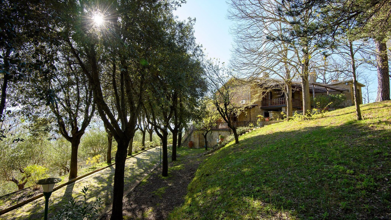 Photo of Others in Pergola