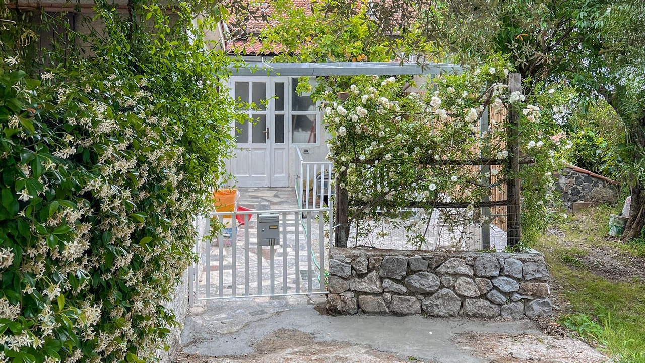 Photo of Others in Scario