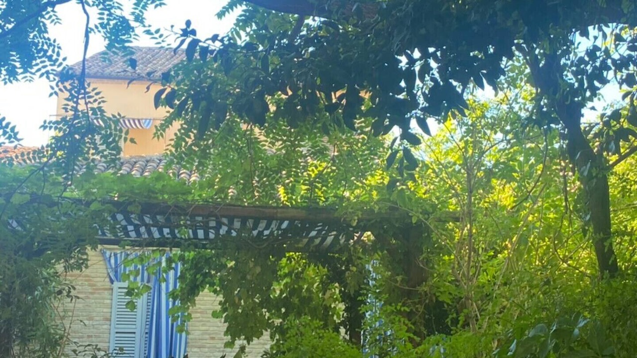Photo of Others in Fermo