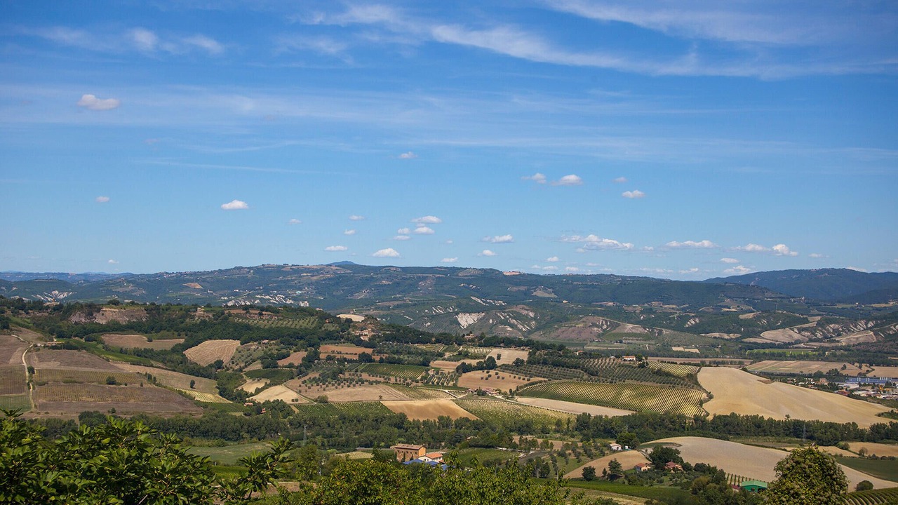 Photo of Others in Ficulle