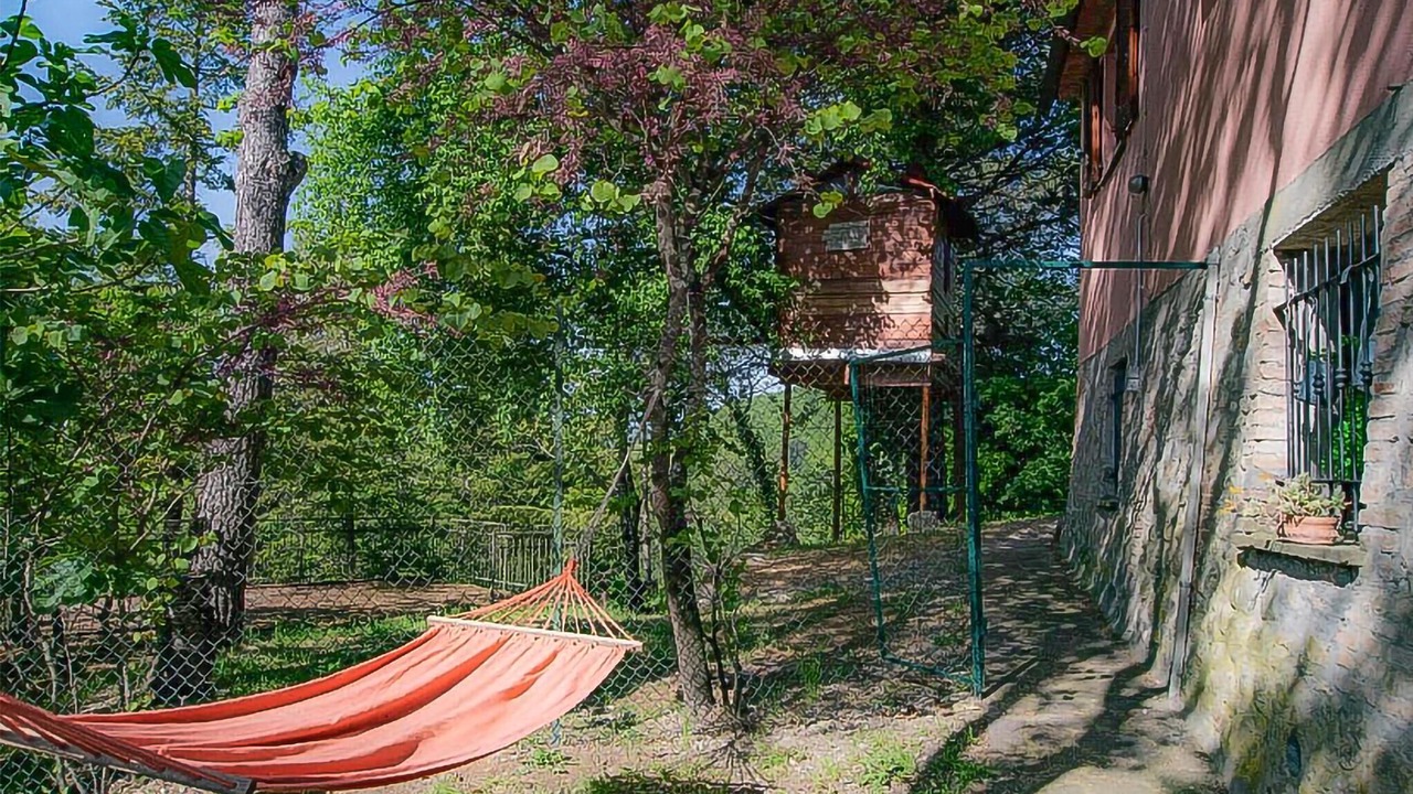 Photo of Others in Ficulle