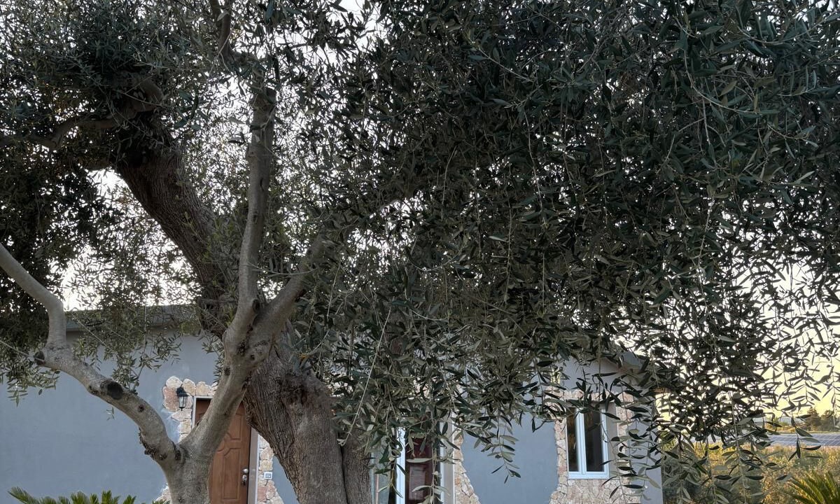 Photo of Outdoor in Matera