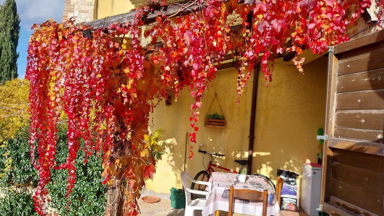Photo of Outdoor in Collazzone