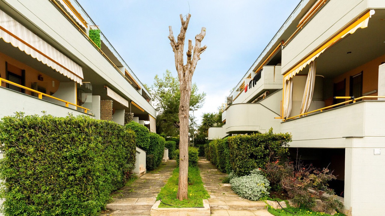 Photo of Outdoor in Torre a Mare