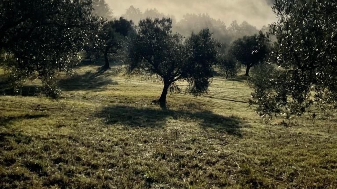 Photo of Others in Roccalbegna