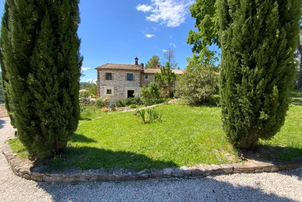 Photo of Outdoor in Pergola