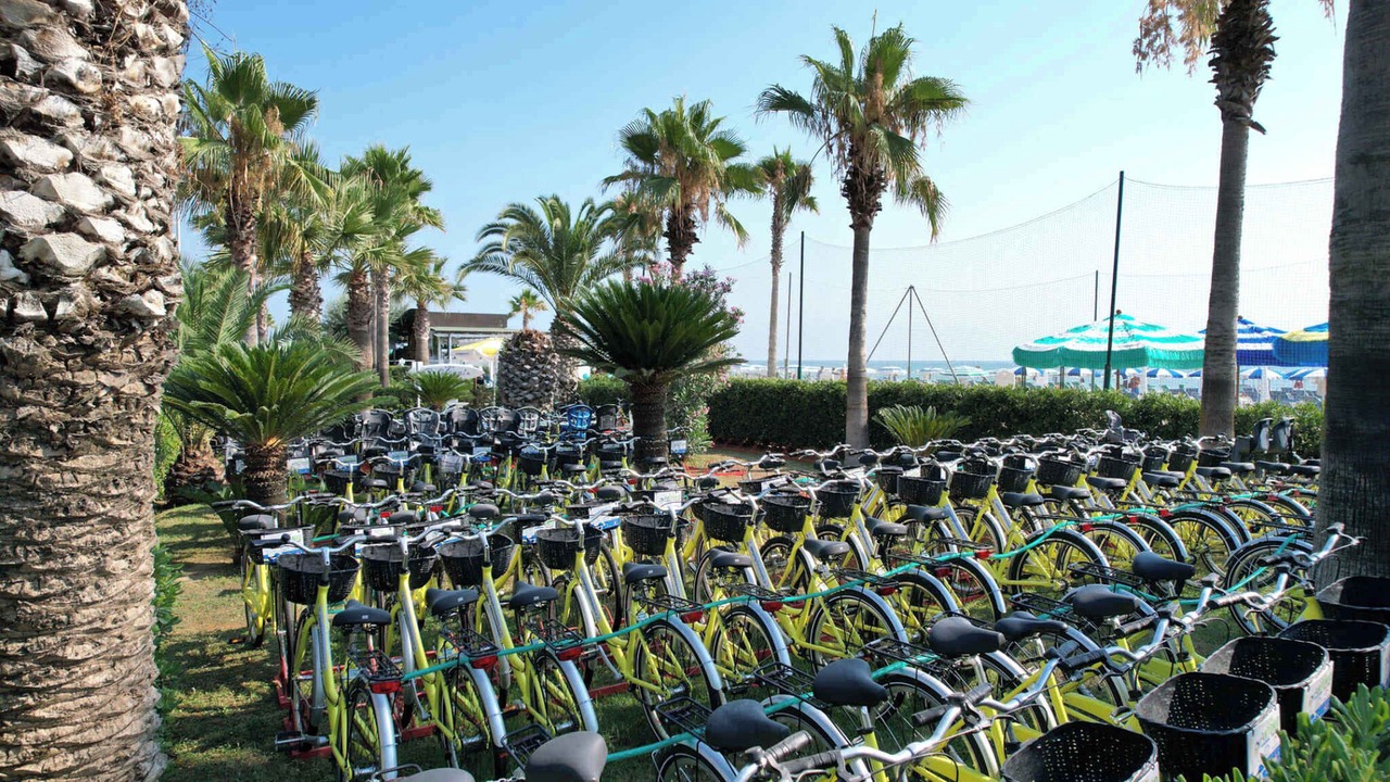 Photo of Others in Giulianova