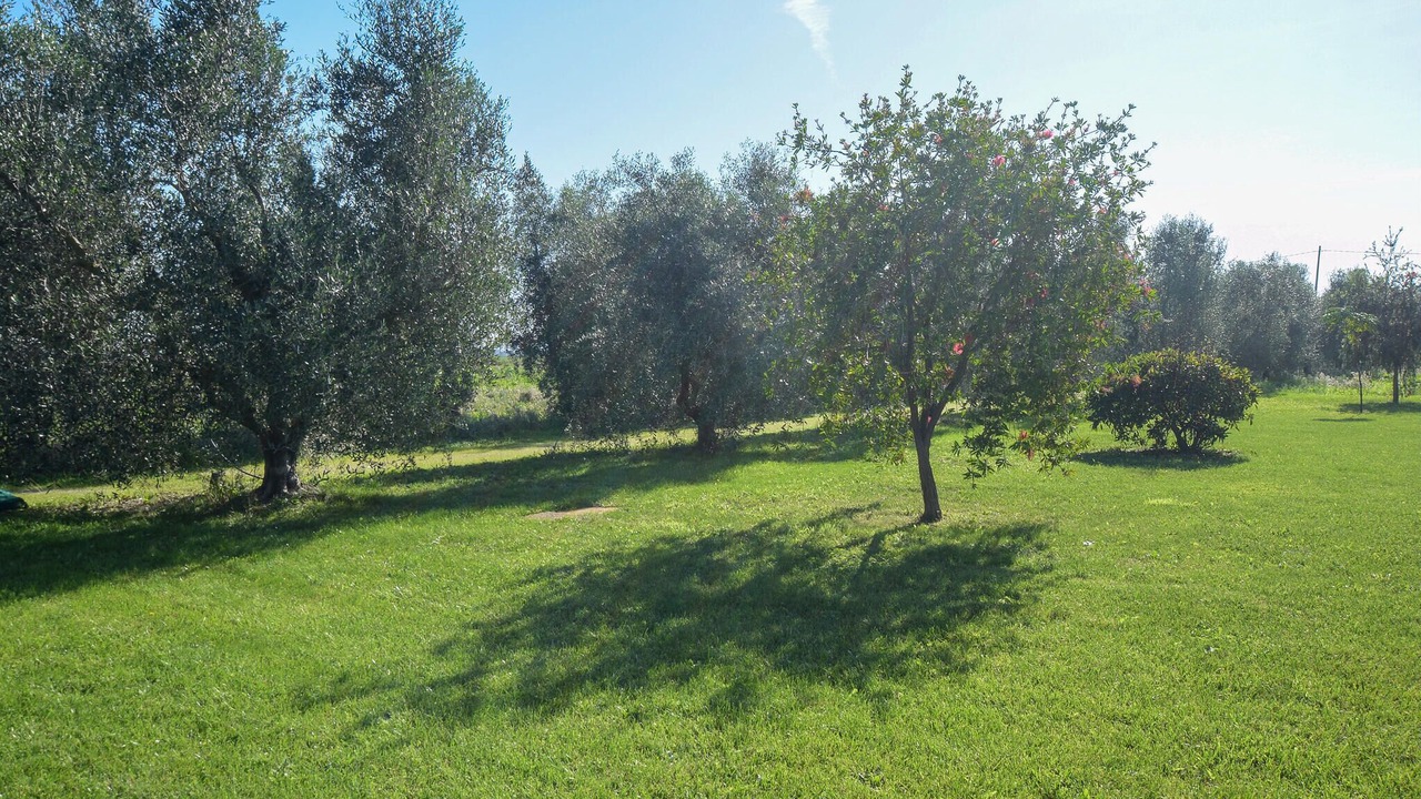 Photo of Others in Grosseto