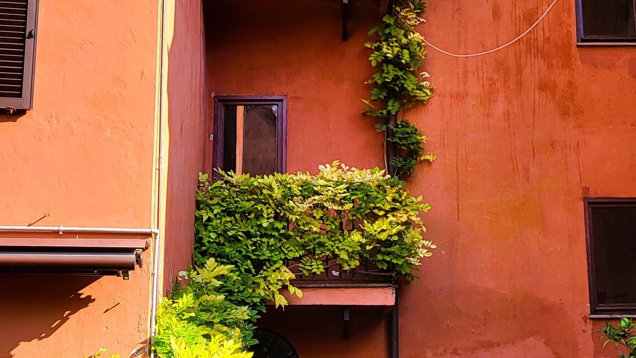 Photo of Outdoor in Trastevere