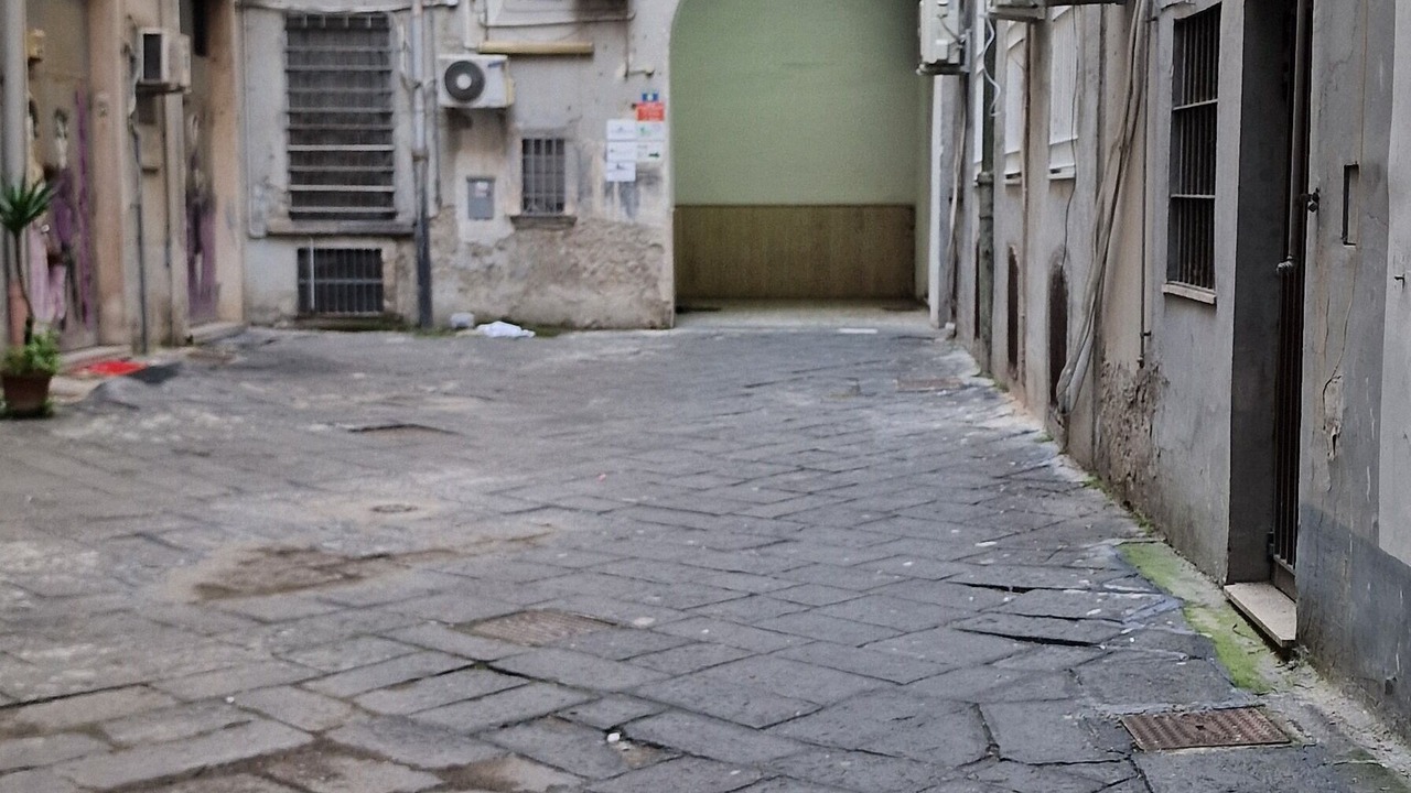 Photo of Others in Vasto