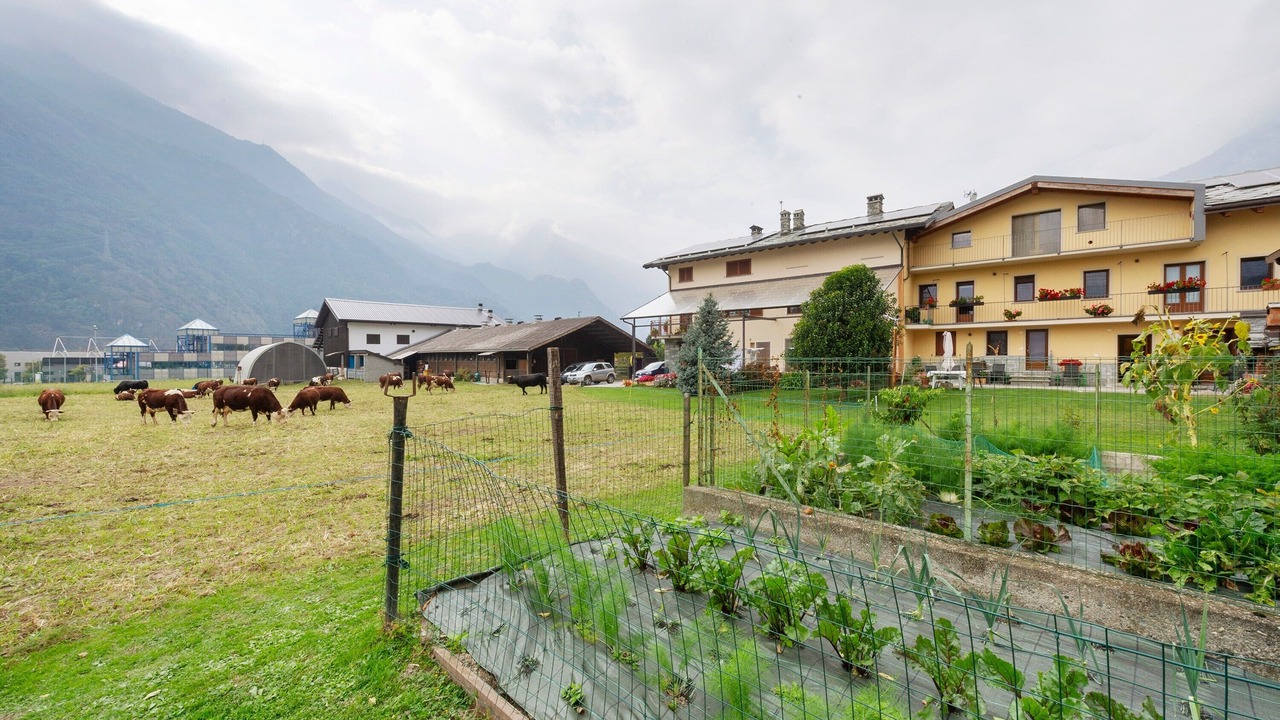 Photo of Outdoor in Pont-Saint-Martin