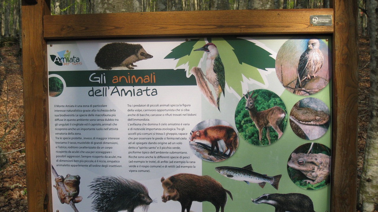 Photo of Others in Castel del Piano