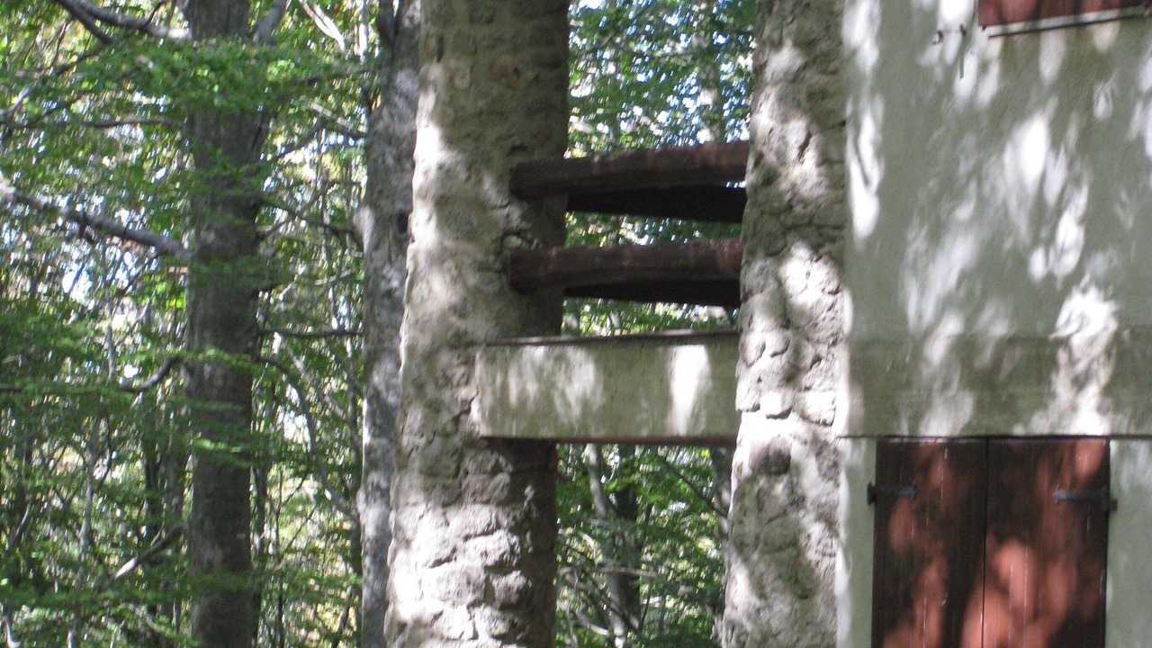Photo of Others in Castel del Piano