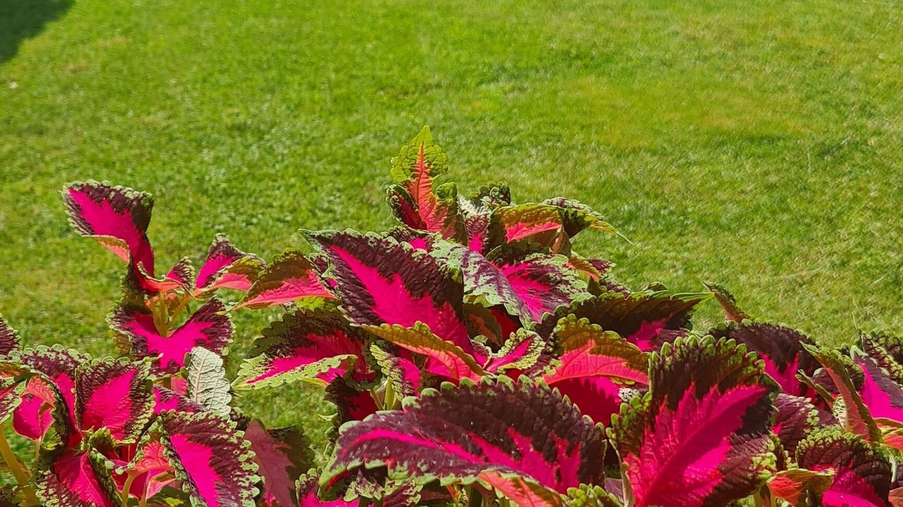 Photo of Outdoor in Formia