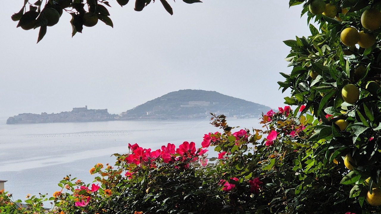 Photo of Others in Formia