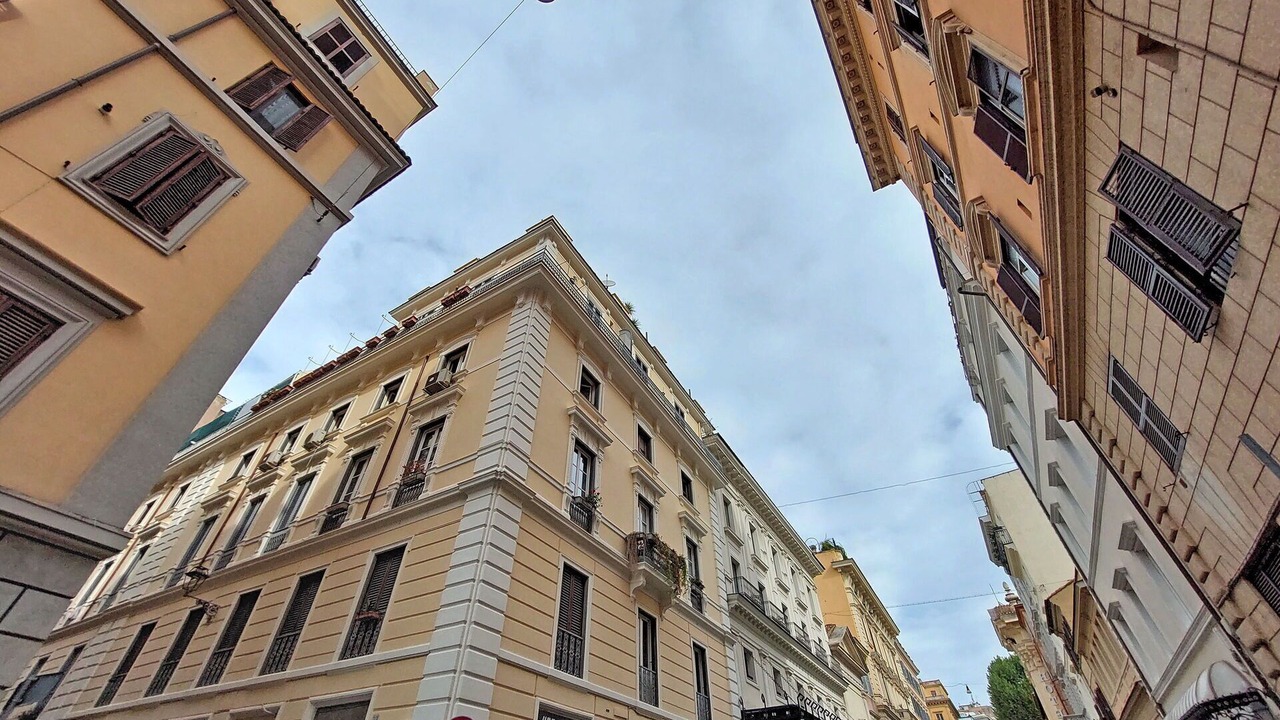 Photo of Others in Monti