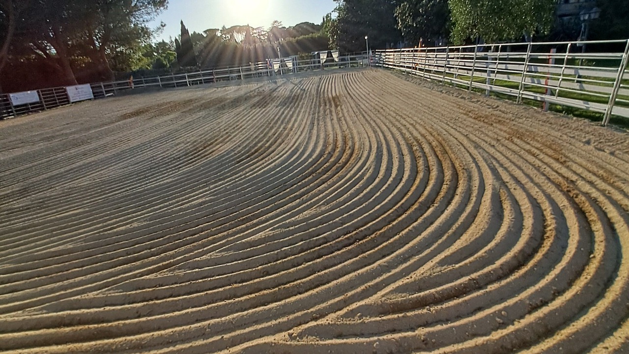 Photo of Others in Sacrofano