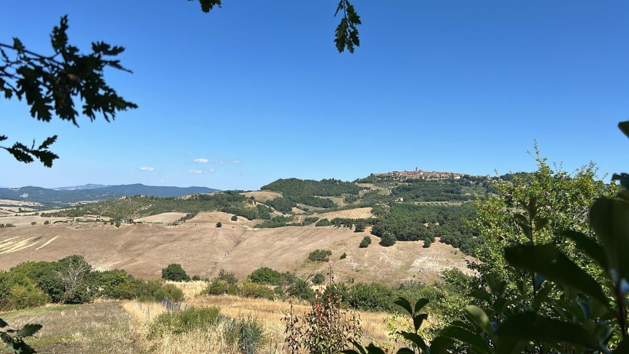 Photo of Others in Radicondoli