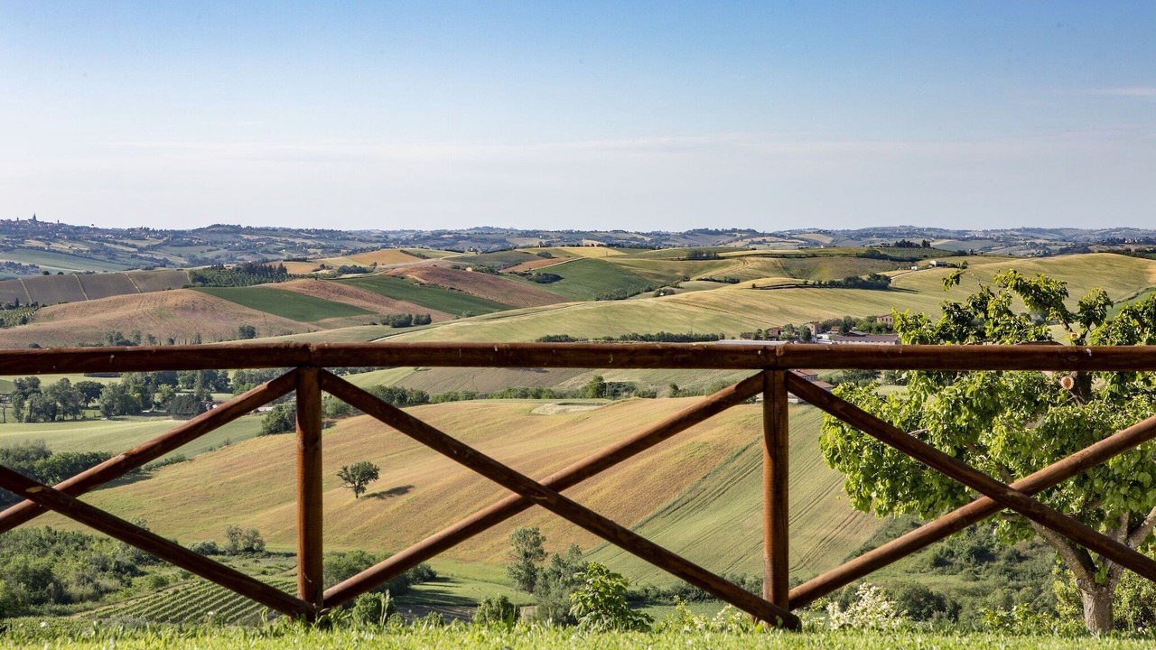 Photo of Others in Montecarotto