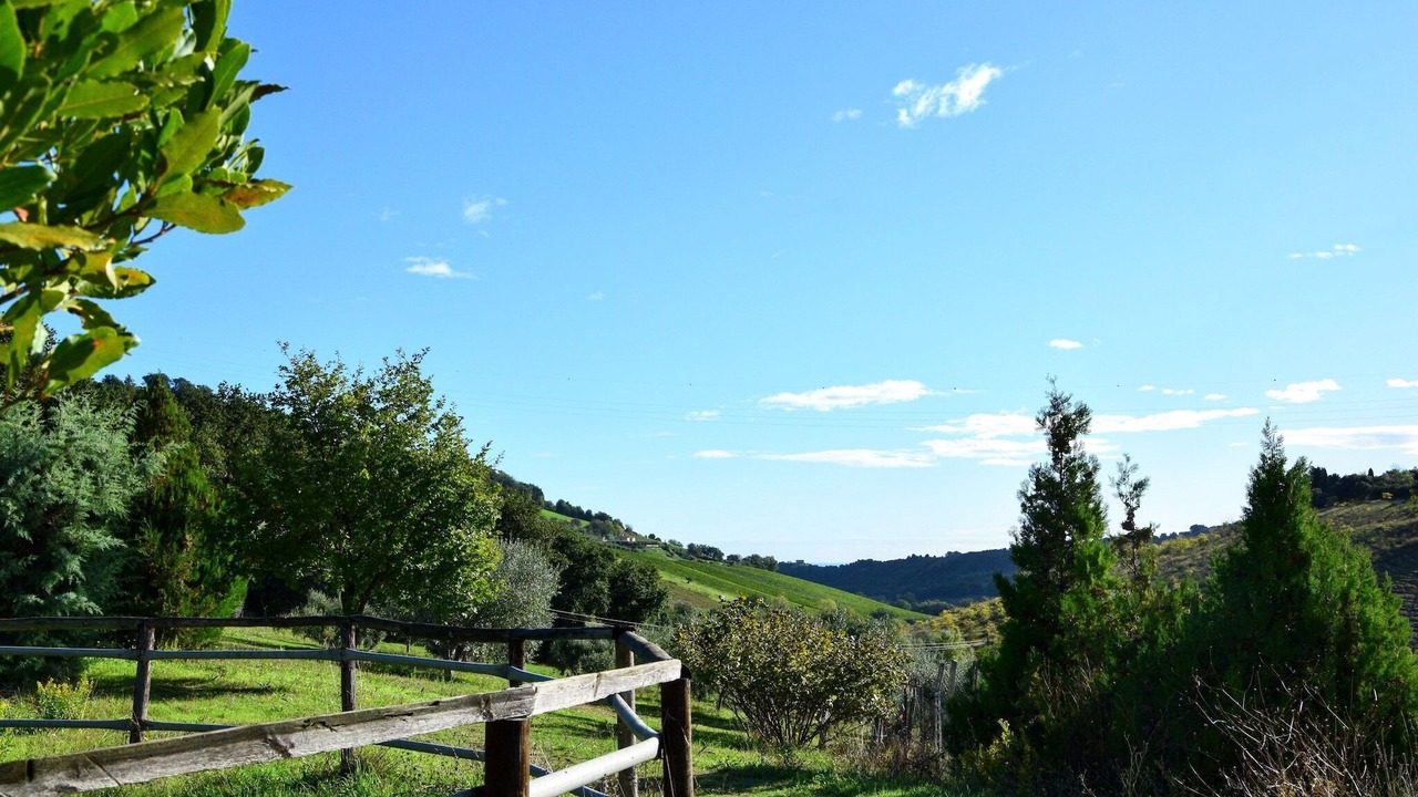 Photo of Outdoor in Lapedona
