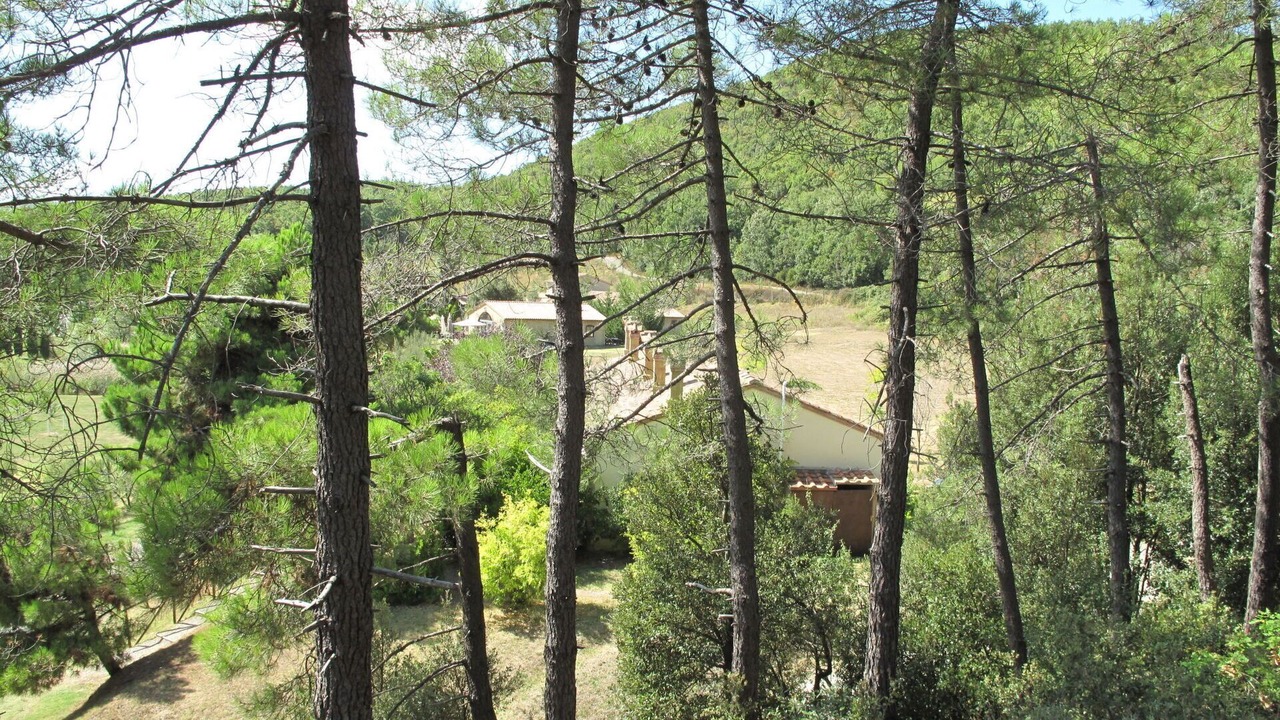 Photo of Outdoor in Riparbella