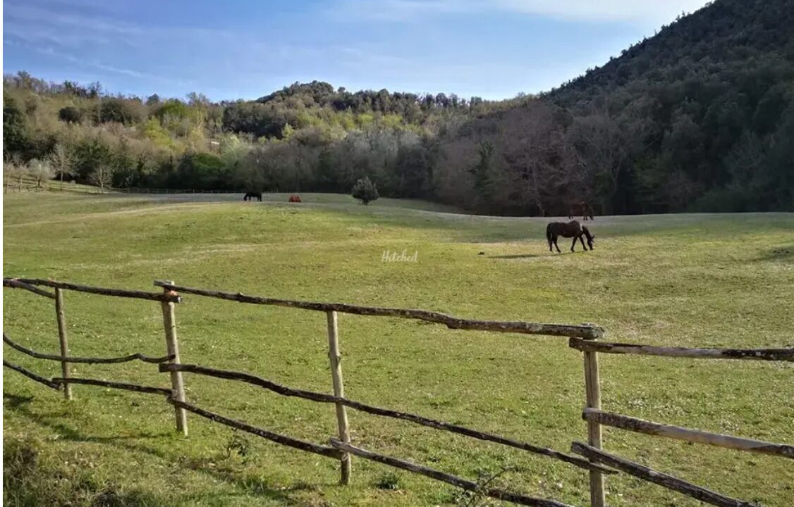 Photo of Others in Montelaguardia