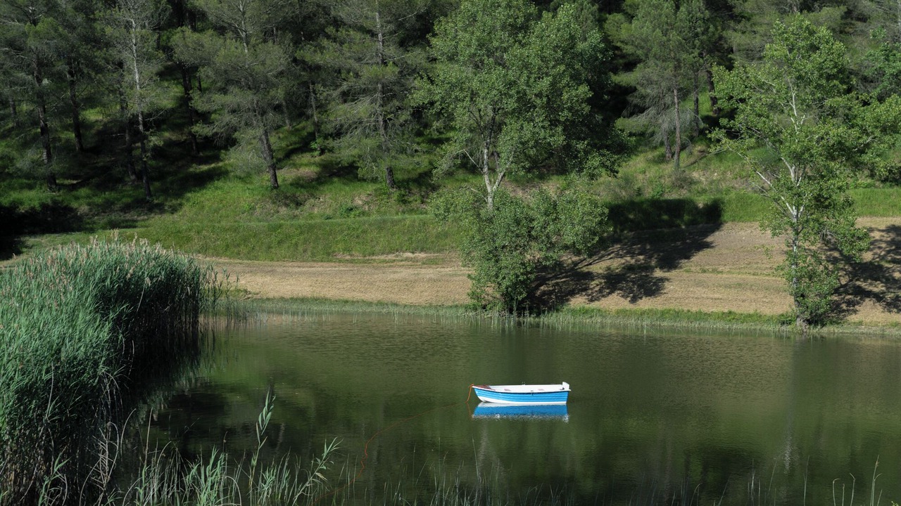 Photo of Others in Montelaguardia