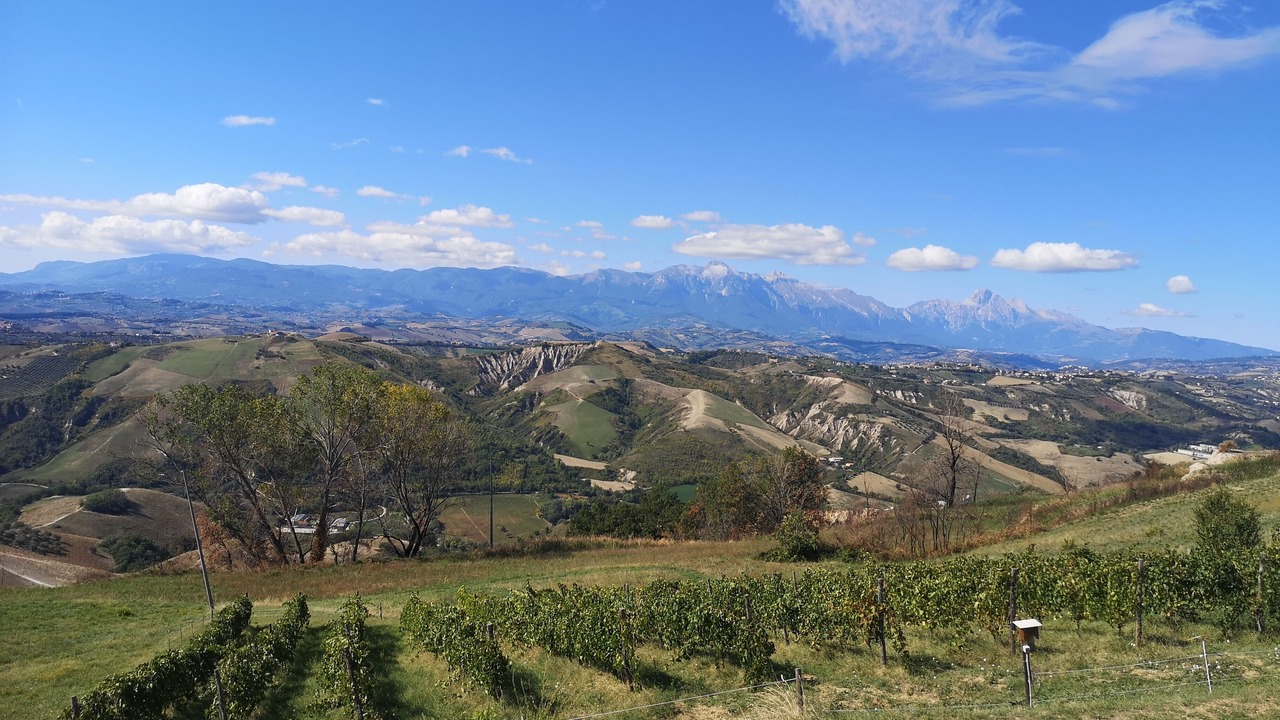 Photo of Others in Atri