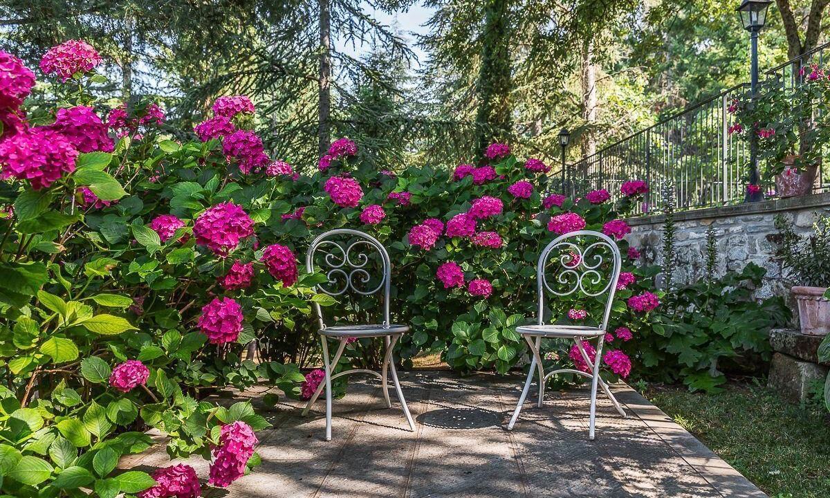 Photo of Outdoor in Ripoli