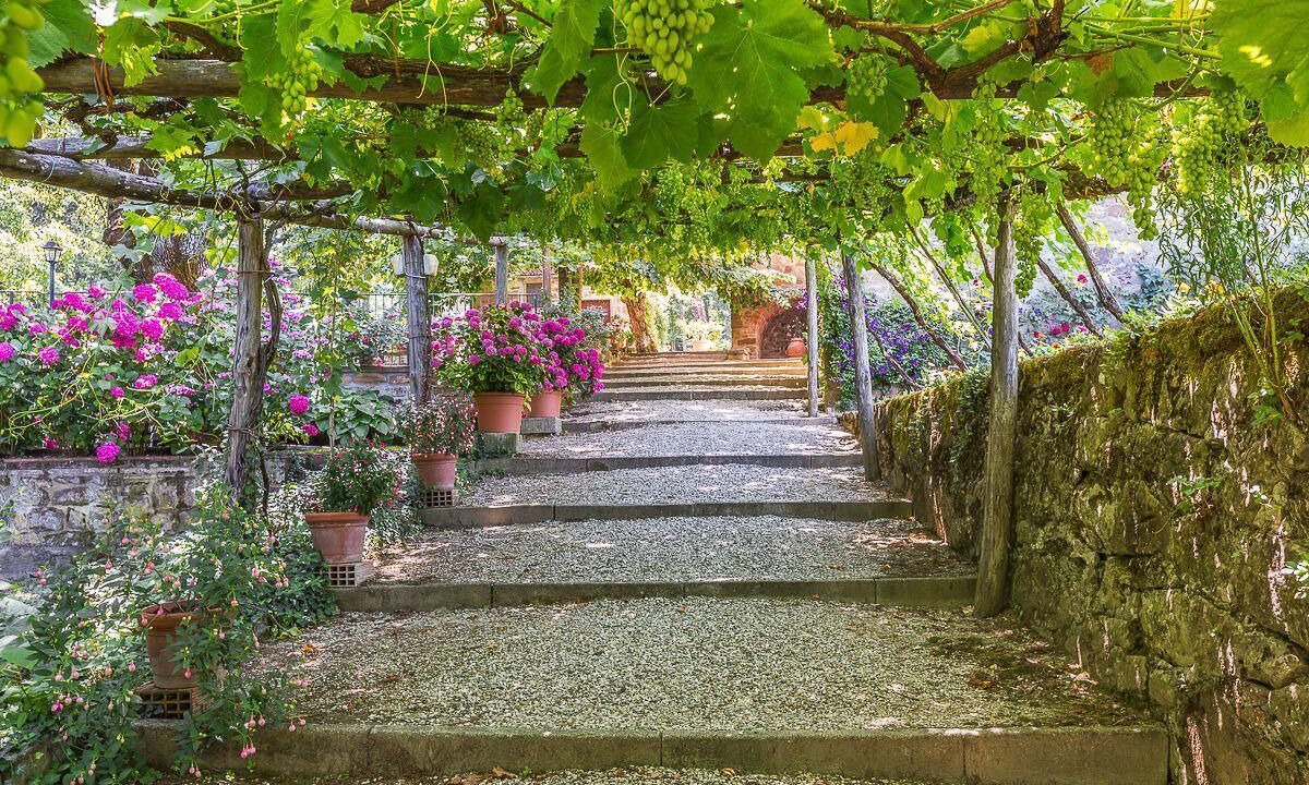 Photo of Outdoor in Ripoli