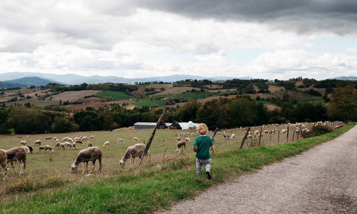 Photo of Others in Montone