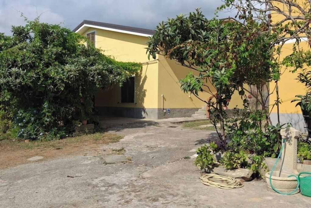 Photo of Outdoor in Paola