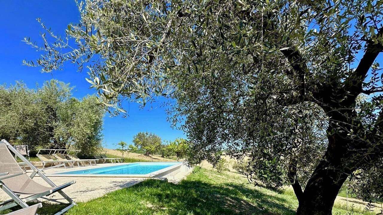 Photo of Outdoor in Senigallia