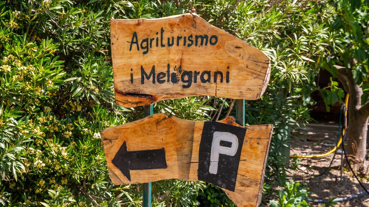 Photo of Outdoor in Grosseto