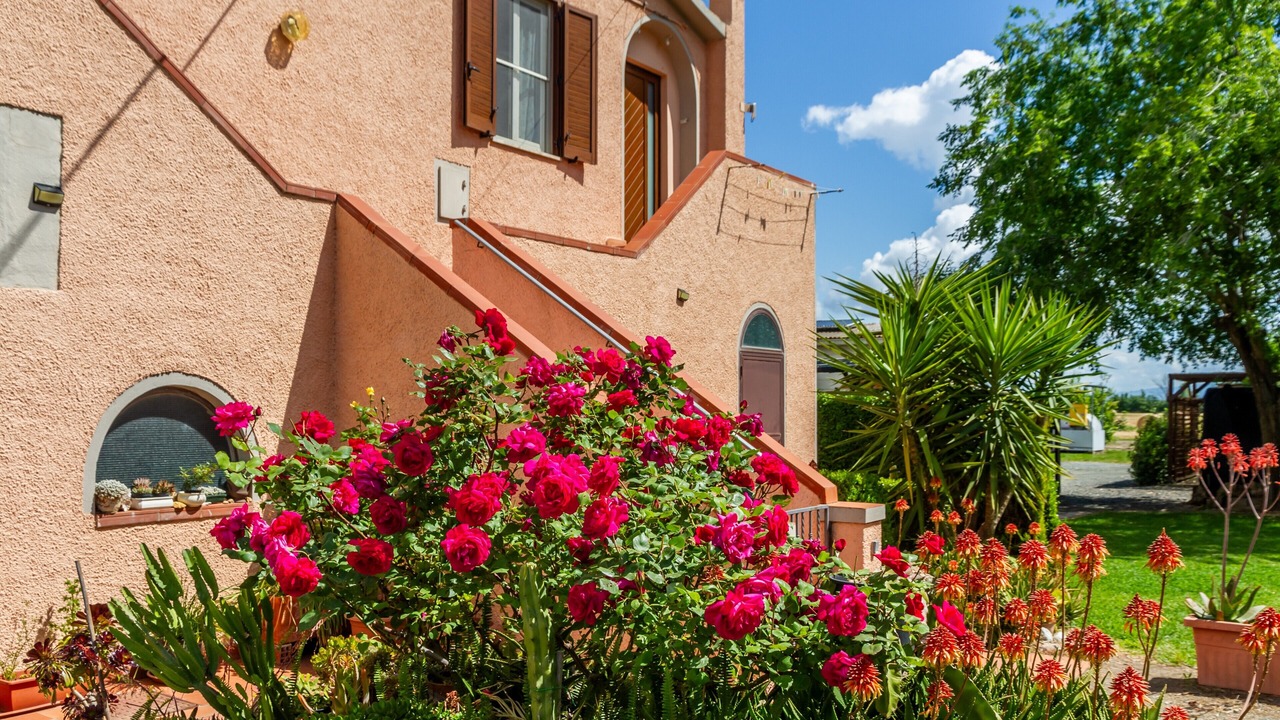 Photo of Outdoor in Grosseto