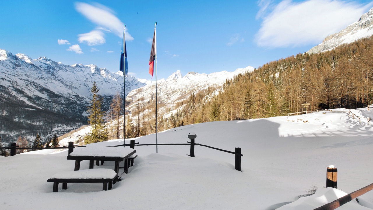 Photo of Others in Valtournenche